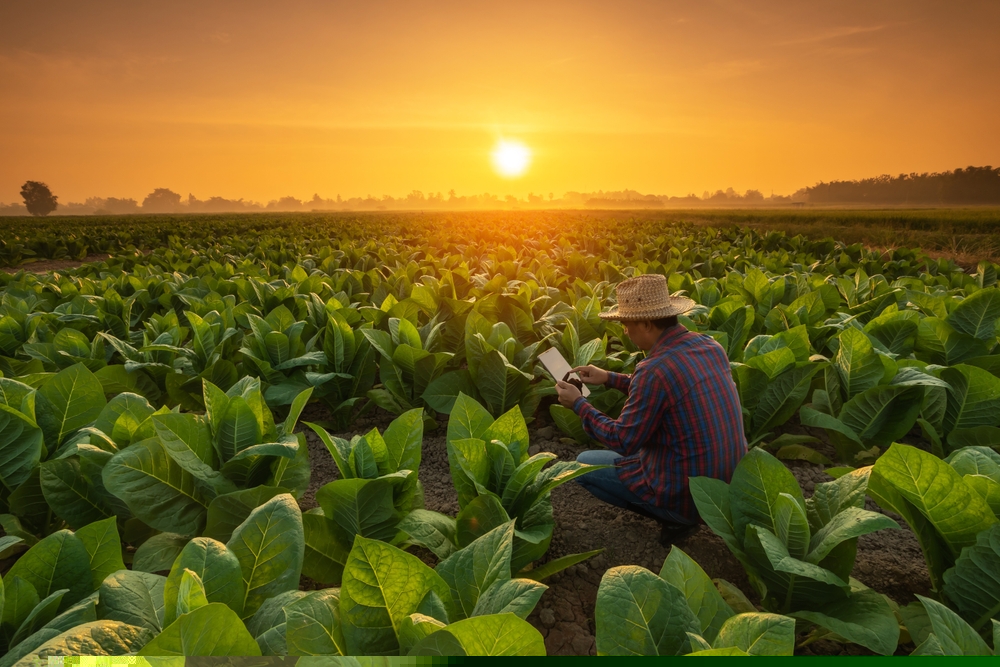 Shutterstock 2261293769