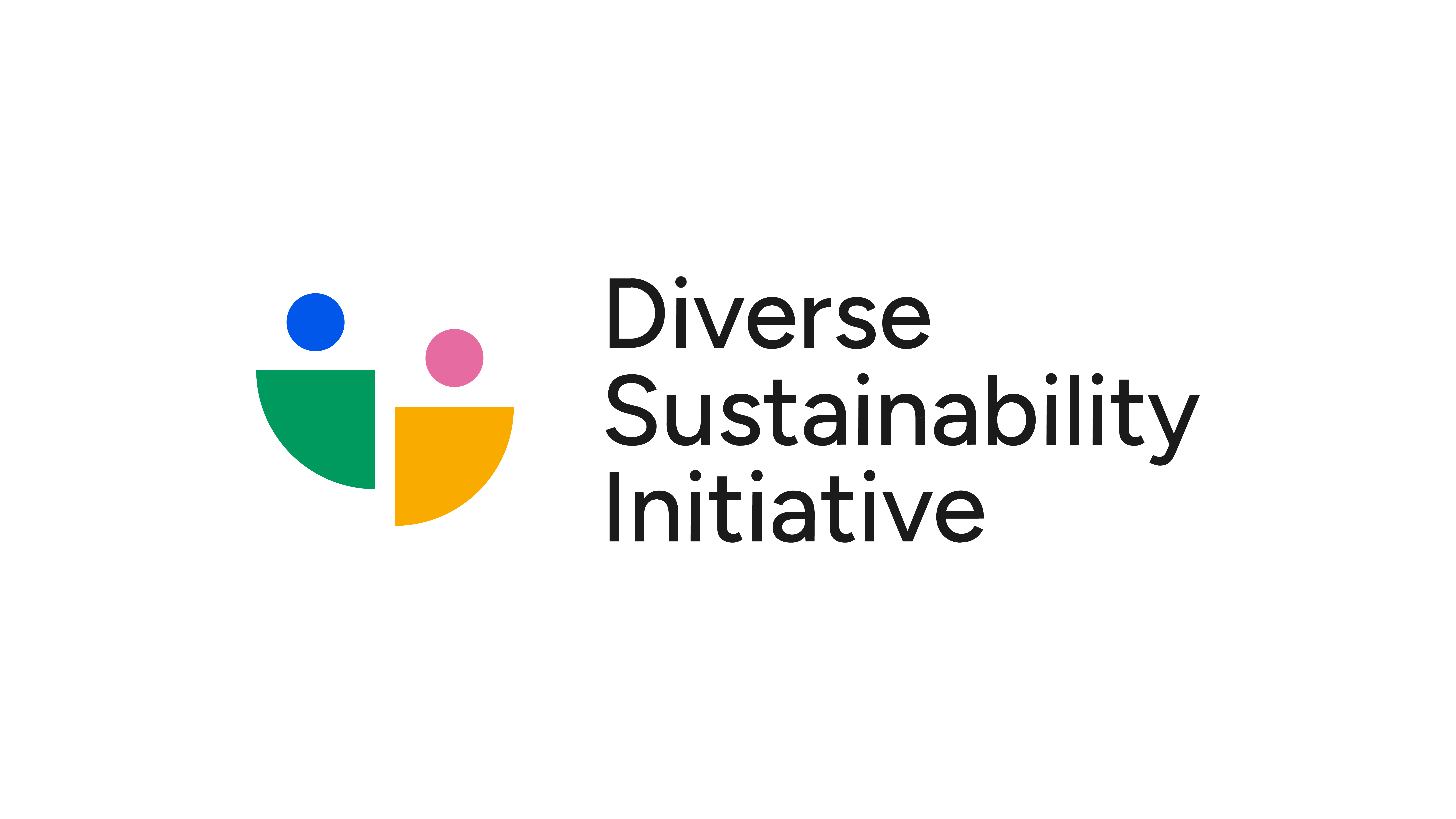 DSI Logo Colour + Black