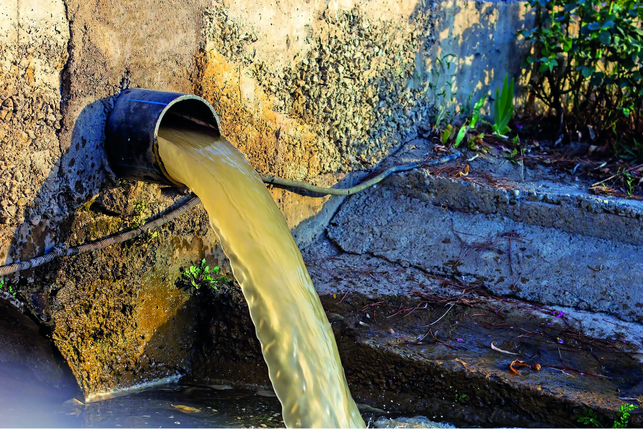 IEMA Resized Images JA17