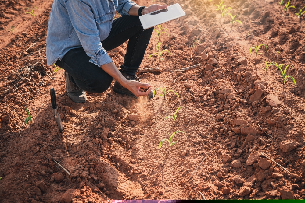 Professional Assessing Soil Halth. Shutterstock 2057346260