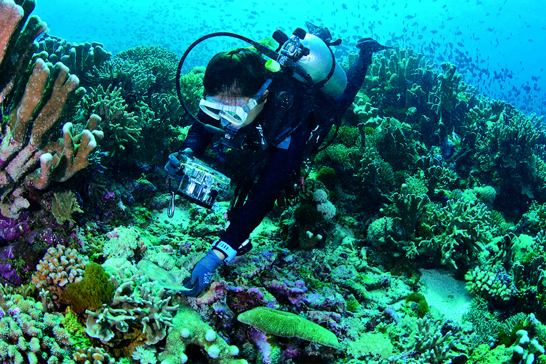 IEMA Resized Images JA26