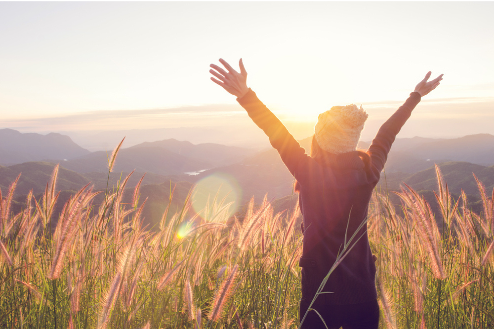 Shutterstock 524086885