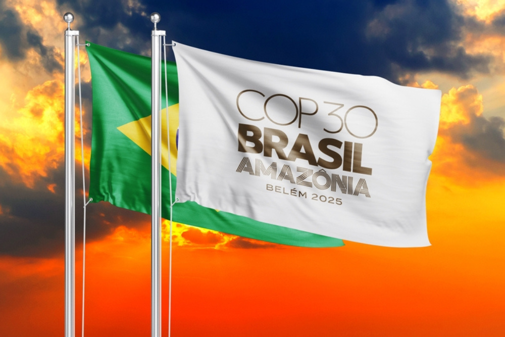 Cop30 Flags Shutterstock 2640688291